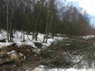 очистка участка от деревьев в посёлке Коммунары